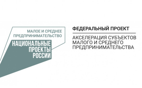 Имущественная поддержка в рамках национального проекта по малому и среднему предпринимательству