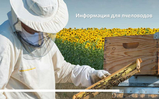 Информация для пчеловодов