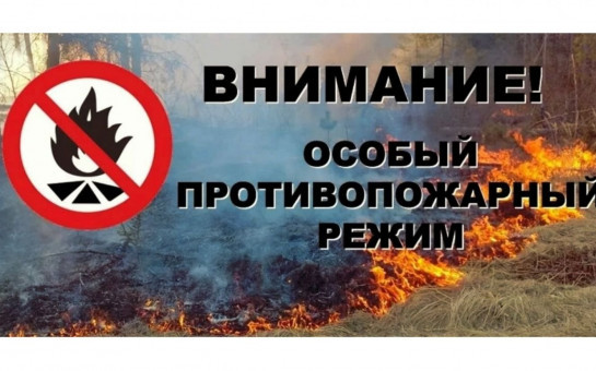 Особый противопожарный режим продлен до 23 мая
