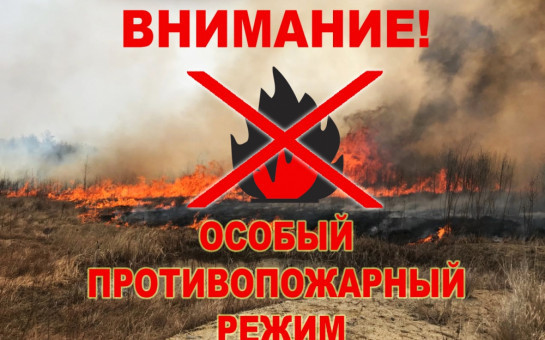 С 19 апреля в Куйбышевском районе устанавливается особый противопожарный режим. Что под запретом?